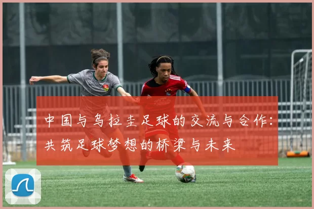 中国与乌拉圭足球的交流与合作：共筑足球梦想的桥梁与未来