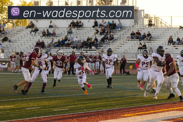 韦德体育全站App